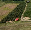 Plantaža  lešnika ponuda Plac i zemljište