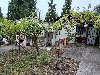 Prodaja Vikendica Zagradje Sutomore ponuda Kuća, vikendica, zgrada, objekat