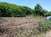 Dva  placa  od  4 ara  Krčedin  Indjija ponuda Plac i zemljište