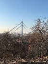 Prelep plac Ribnjak-Petrovaradin potreba Plac i zemljište
