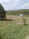Plac  11,50 ari   Miljakovačke  staze  Beograd ponuda Plac i zemljište