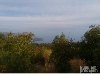 Plac  2640 m2  Pobori  Budva ponuda Plac i zemljište