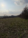 Prodajem gradjevinsko zemljiste -Pojate ponuda Plac i zemljište