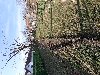 Šabac , Mačvanski Prnjavor ponuda Plac i zemljište