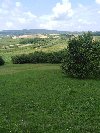 ATRAKTIVAN PLAC NA FRUŠKOJ GORI – IRIG / HOPOVO ponuda Plac i zemljište