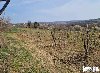 Gradjevinsko  zemljište  48 ari  Popović ponuda Kuća, vikendica, zgrada, objekat