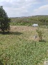 Plac  11,50 ari  Miljakovačke  staze  Rakovica ponuda Plac i zemljište