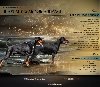 Doberman stenci ponuda Kućni ljubimci