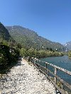 Ozbiljnost &  Strast . ponuda On traži nju