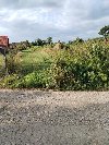 Prodaja imanja- više placeva sa objektima Barajevo ponuda Plac i zemljište