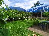 Kuca u Surdulici,180m2,6ari placa potreba Kuća, vikendica, zgrada, objekat
