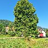Za hrabru!!@ ponuda Upoznavanje i druženje