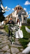 Beli golubovi za svecane prilike potreba Ostalo