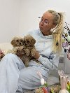 Maltipoo  vrhunske genetike potreba Kućni ljubimci