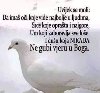 Upoznao bih devojku...zenu... potreba Upoznavanje i druženje
