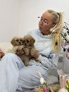 Maltipoo vrhunske    genetike ponuda Kućni ljubimci