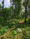 MOKRA GORA ponuda Plac i zemljište