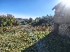 Prodajem plac u Osmacima ponuda Plac i zemljište