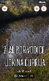 Plac 10114 m2 blizu Jokine ćuprije Vodice Zlatibor ponuda Plac i zemljište